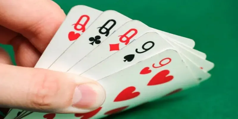 cù lũ trong xì tố